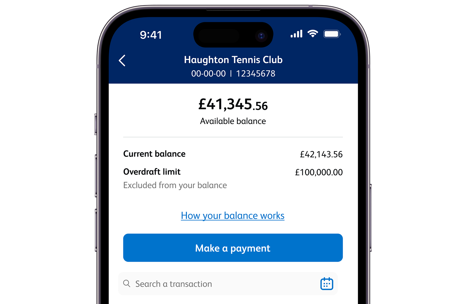 A screenshot of the Business Banking App, showing the name, sort code, account number, available balance, current balance and overdraft limit of an account. It shows options to make a payment, find out how your balance works and search a transaction.